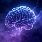 冥想究竟在改变什么：从脑科学到意识研究